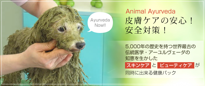 皮膚ケアの安心!安全対策!