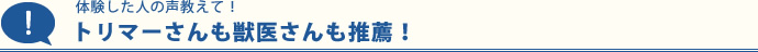 g}[bコEI