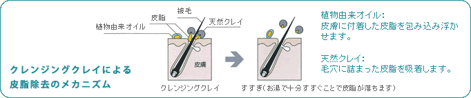 クレンジングクレイによる皮脂除去のメカニズム