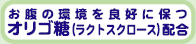 ̊ǍDɕۂISiNgN[Xjz